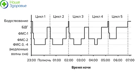 Инфографика